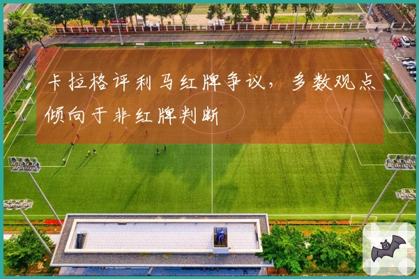 卡拉格评利马红牌争议，多数观点倾向于非红牌判断